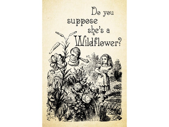 Do You Suppose She's A WILDFLOWER Lewis Carrol Alice in