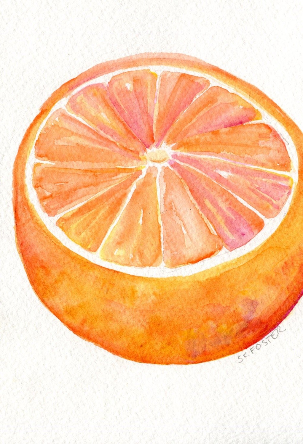 Grapefruit Watercolor Painting Original Fruit ART 5 x 7