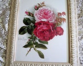 Victorian Rose Prints Free Shipping Roses by VictorianRosePrints