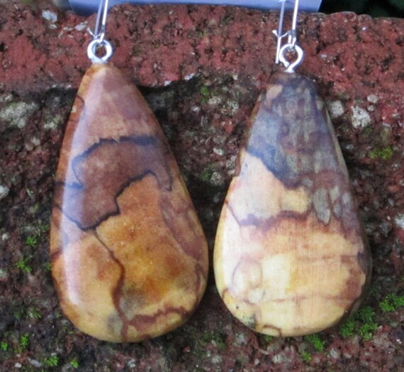 Earrings in Rare Incredible Wood   Boho Natural  Wood 2 in.  tall.Jewelry  (060)