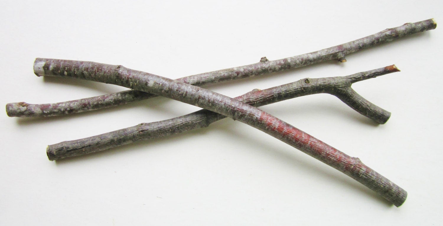 Three Alder Wood Sticks Alder Branches Sacred Woods Wand
