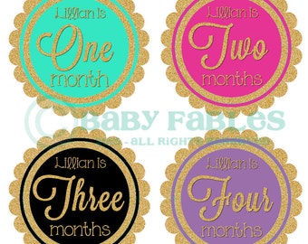 Personalized baby girl milestone stickers Monthly Baby Stickers Baby Month Stickers Baby Girl Month Stickers Monthly Photo Stickers