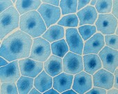 Epithelial Cells - original watercolor painting