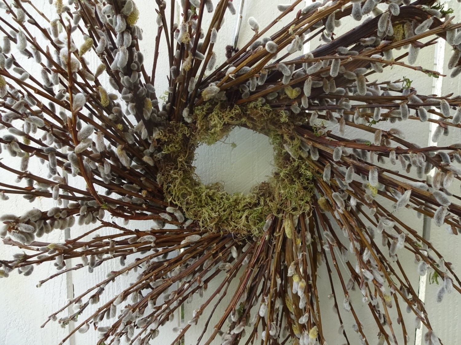 Pussy Willow Wreath 106