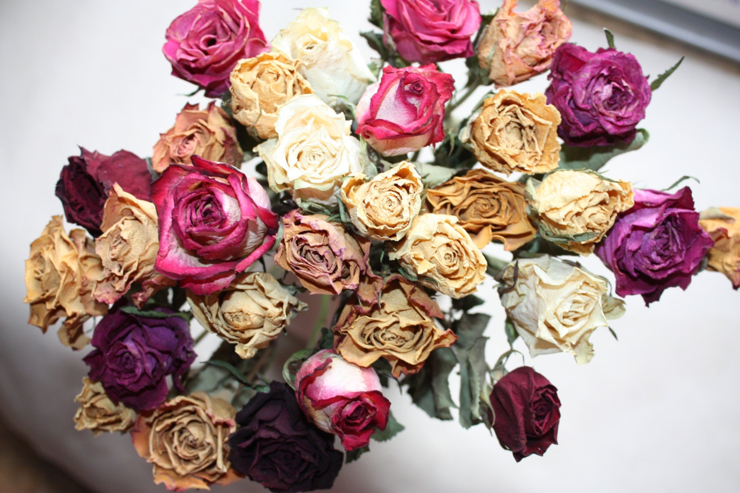 S A L E 30 Natural Dry Roses Natural Color Roses by gbsupplies