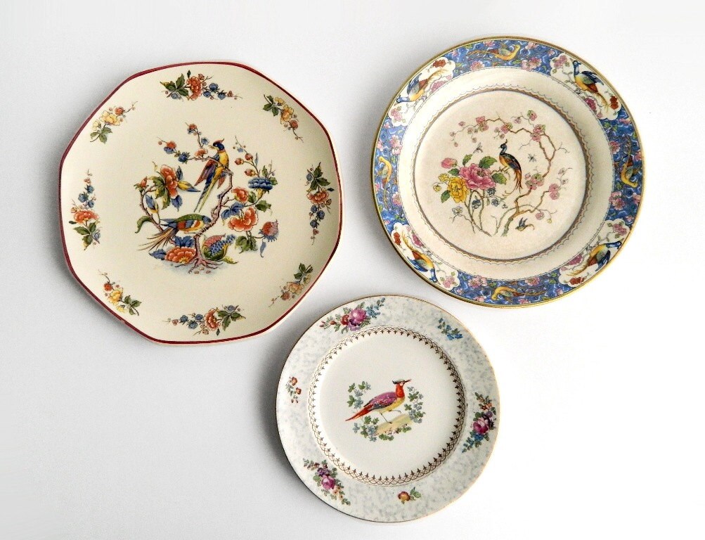 Antique Bird of Paradise Plate Collection Vintage Plate Wall