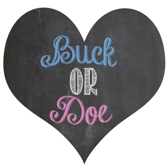 Buck or Doe gender reveal balloon box sign chalkboard