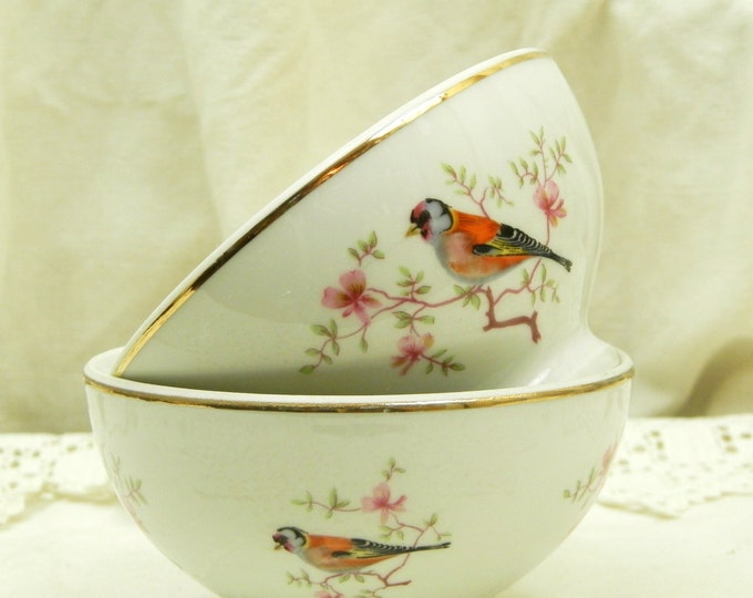 2 Small Vintage Bone China Childrens Ceramic Café au Lait Bowl / French Country Decor / Coffee Bowl / Shabby Chic / French Decor Retro Home 2 Small Vintage Bone China Childrens Ceramic Café au Lait Bowl / French Country Decor / Coffee Bowl / Shabby Chic / French Decor Retro Home