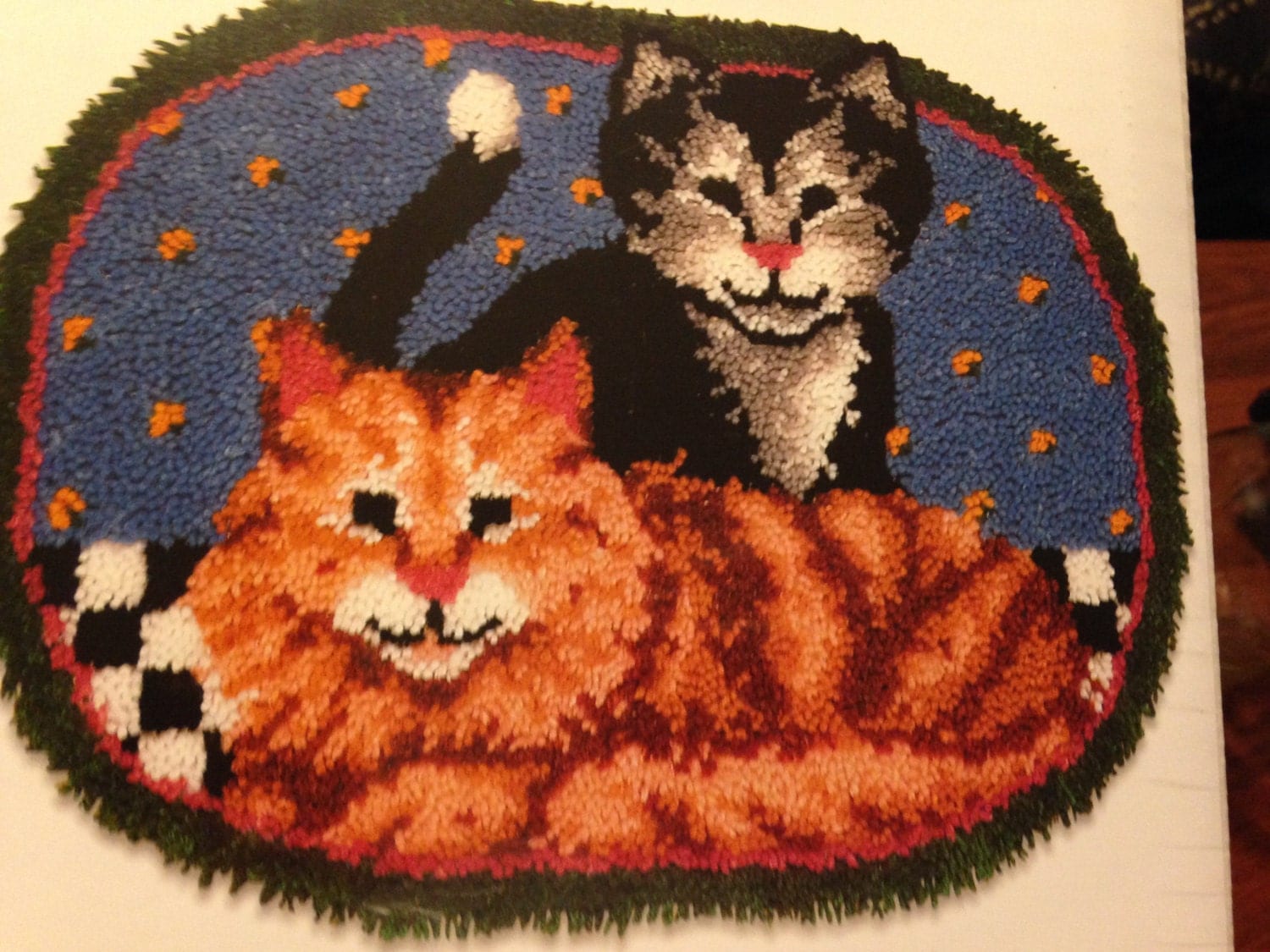 Cat Latch Hook Rug