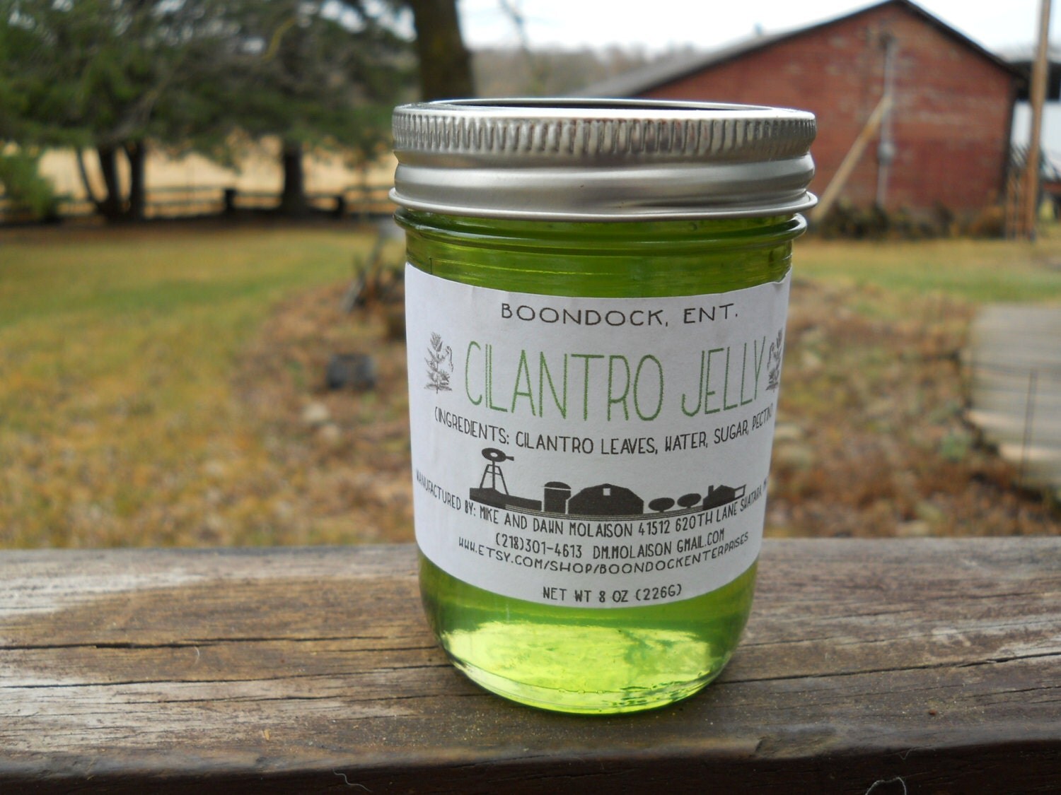 Cilantro Jelly Herbal Jelly All natural Jelly