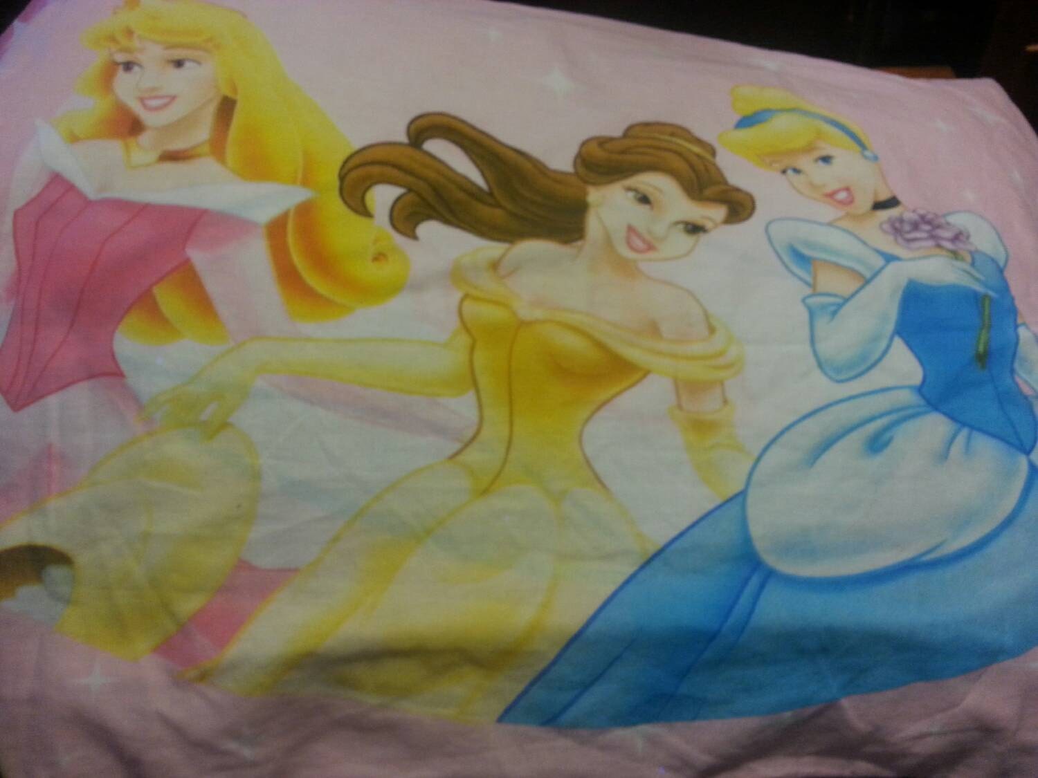 Disney princess pillow case by NekoAngelAnime on Etsy