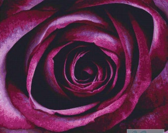 Purple Rose PDF Cross Stitch Pattern