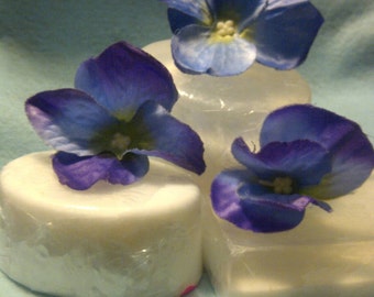 Plain Jane soap, unscented with no artificial colours just soap