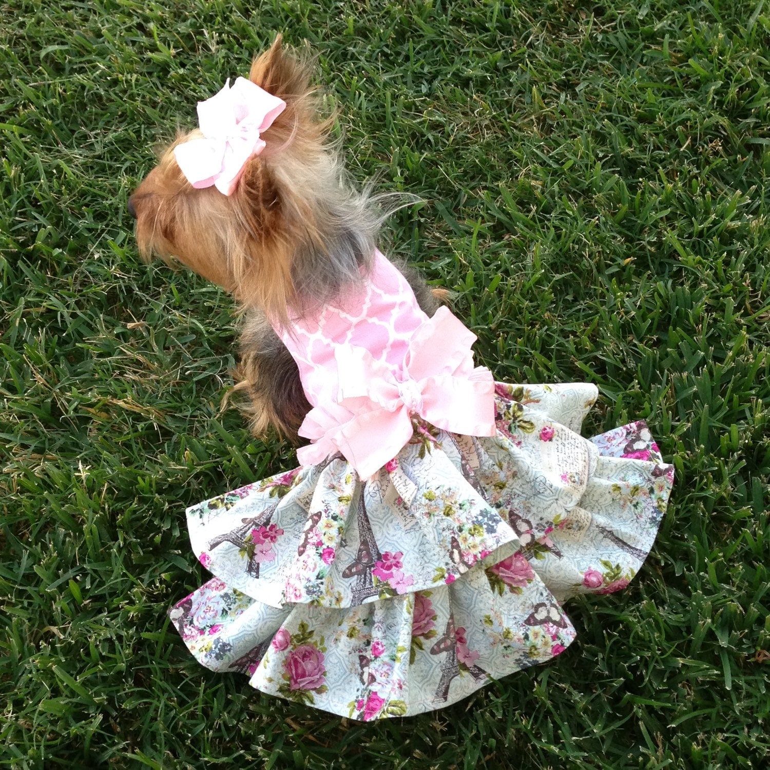 Meet Me in Paris Dog Dress Customizable to your dogs