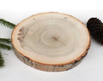Rustic 7" Wood Slabs. Rustic Cake Stands. Rustic Tree Branch Slices for Craft. Natural Wood Slices