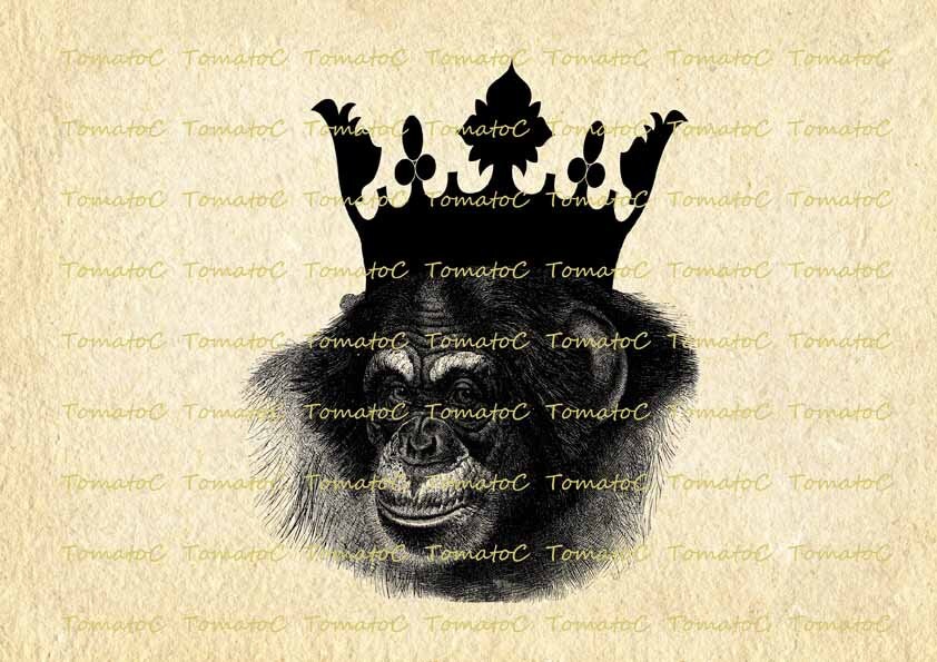 Chimpanzee Queen Ape Monkey Crown Digital Image Download for