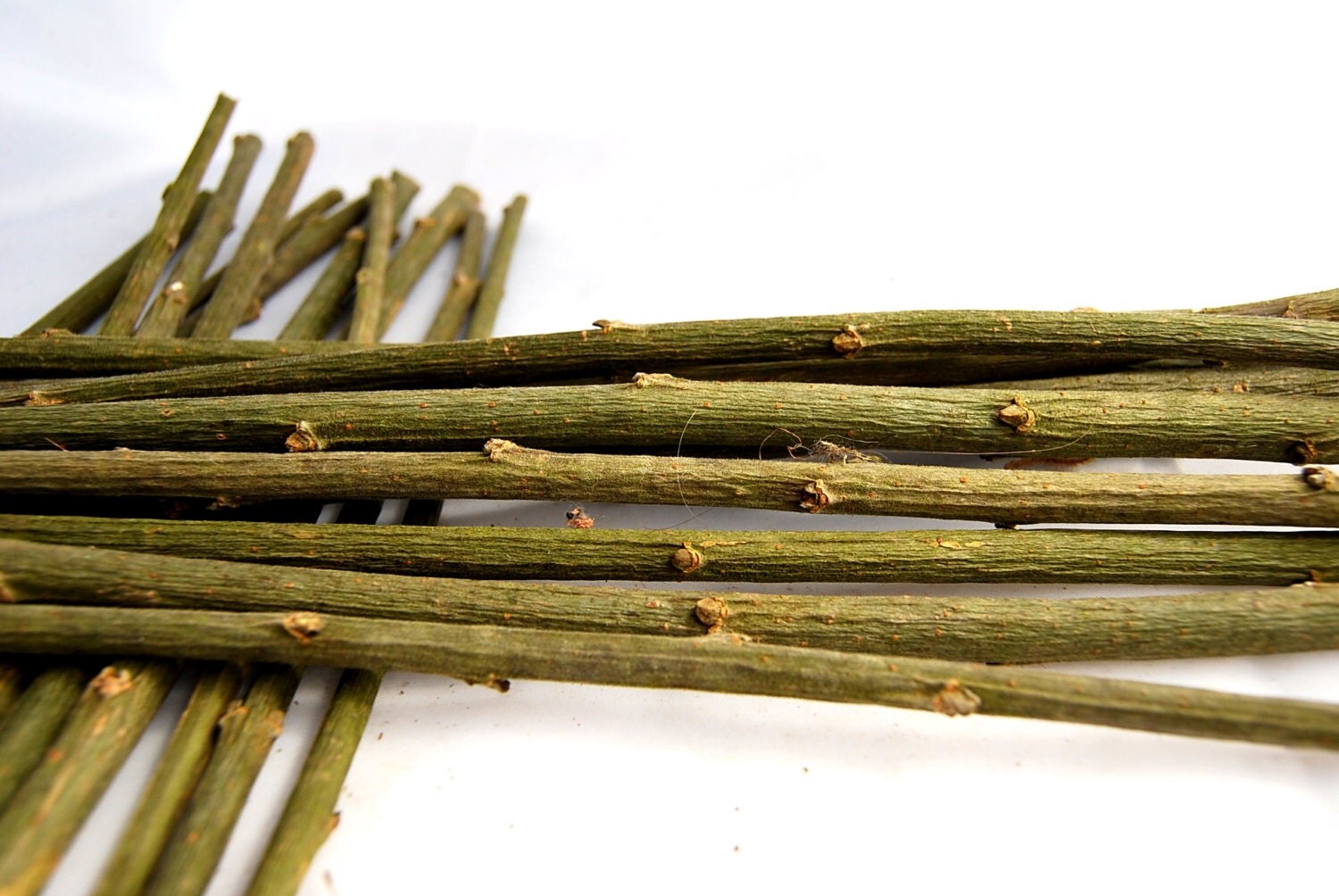 20 dried straight willow sticks for crafts or rabbit food for