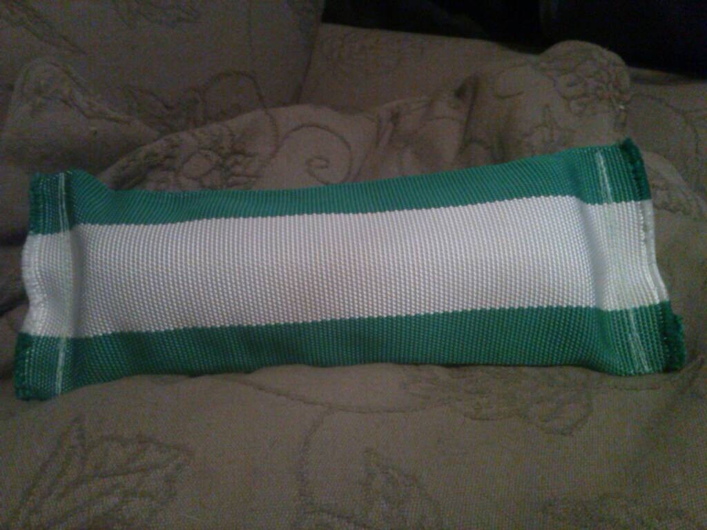 Recycled Fire Hose Water Bottle Dog Toy by RecycledPetToys on Etsy