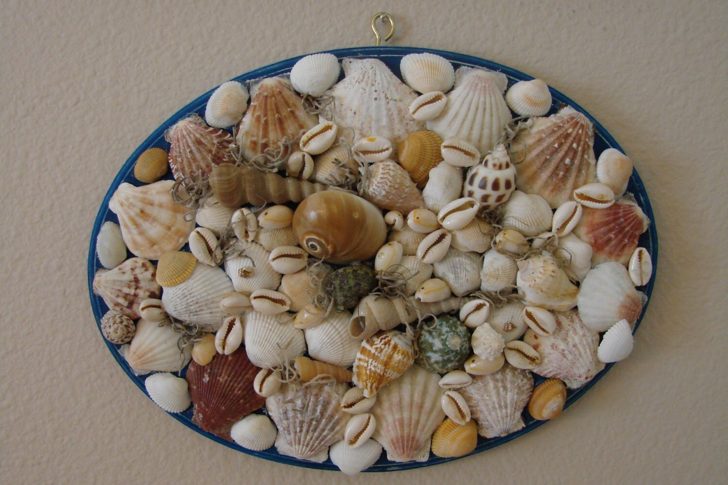 SALEHandmade Oval Blue Wood Seashell Plaque