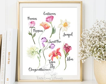 Wildflower print Floral Nursery print wall art nursery decor flowers printable nursery decor floral Wildflower Field Guide Print art 186