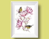 Magnolia painting art print.  Magnolia Warblers bird art