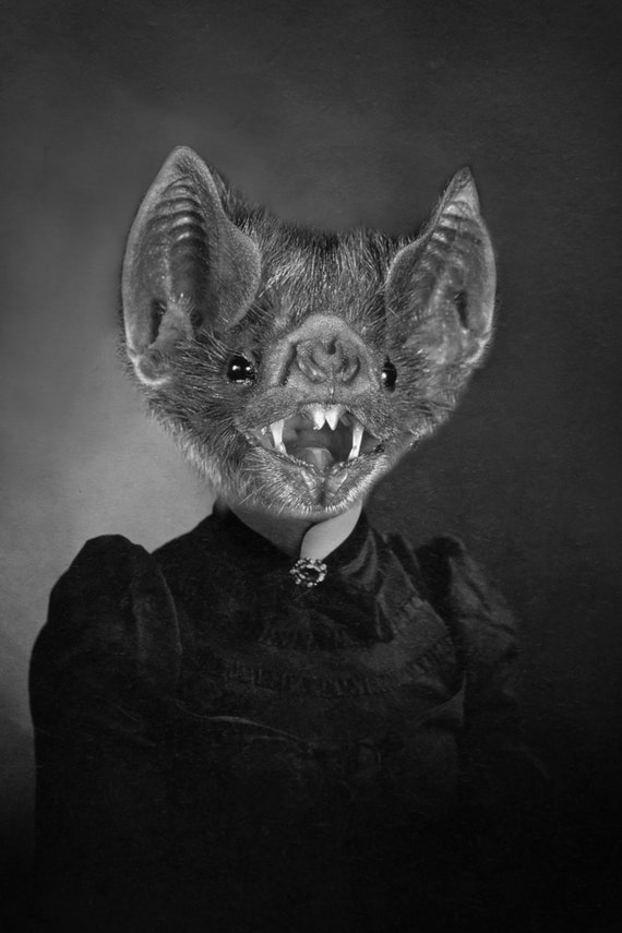 5x7 Vintage Animal Portrait Anthropomorphic by bradykennedyvintage