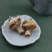 Wild Mushroom Earrings