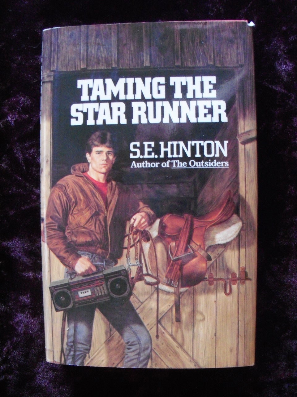 SE Hinton book Taming the Star Runner by SmallPressRoulette