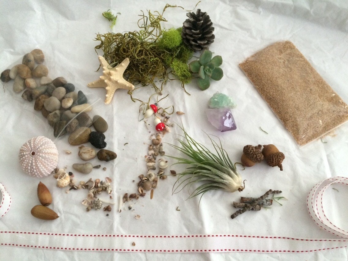 Terrarium Kit Delivered to You Monthly by MoliveTerrariums on Etsy