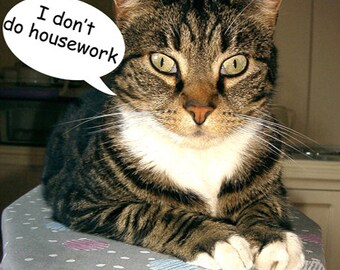 I Don't Do Housework Tabby Cat Fridge Magnet 7cm by 4.5cm,
