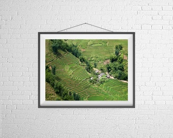 Fine Art Photography Print - Landscape, Nature - Terraced Rice Paddies - Sapa, Vietnam