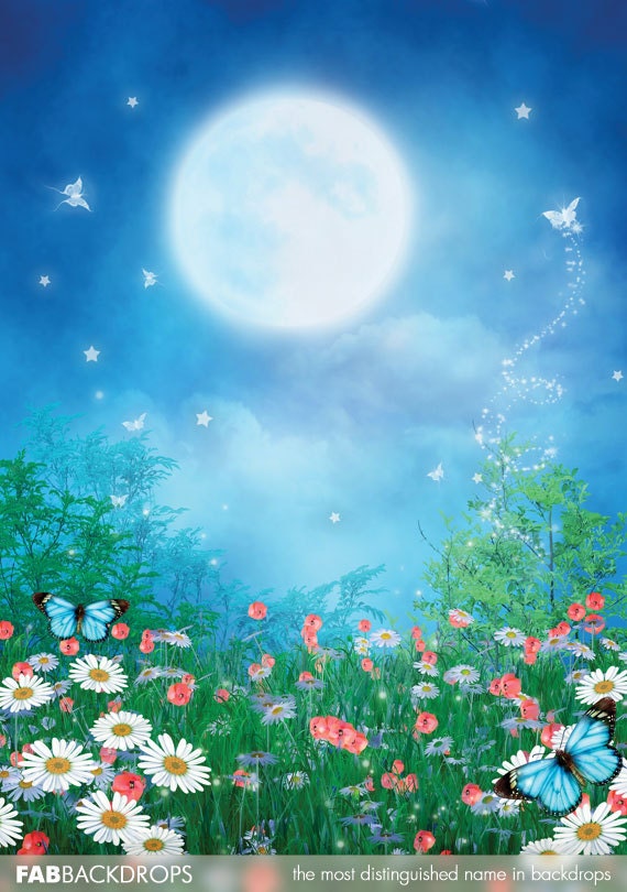 Enchanted Night Fairy Backdrop / Fairy or Prom Backdrop