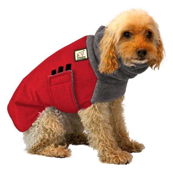 MINIATURE POODLE Winter Dog Coat Winter Coat Dog Coat Dog