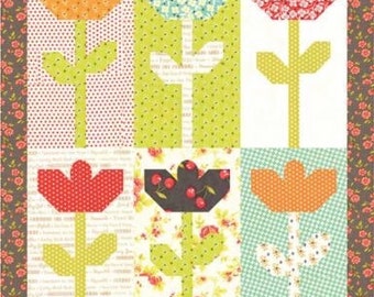 Mini Daisies by Fig Tree