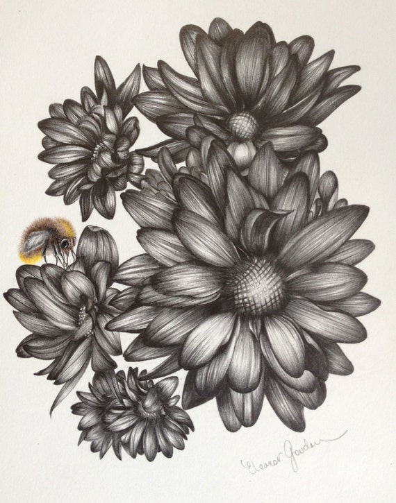 Items similar to Flower and Bee PRINT Illustration Drawing Nature Gift ...