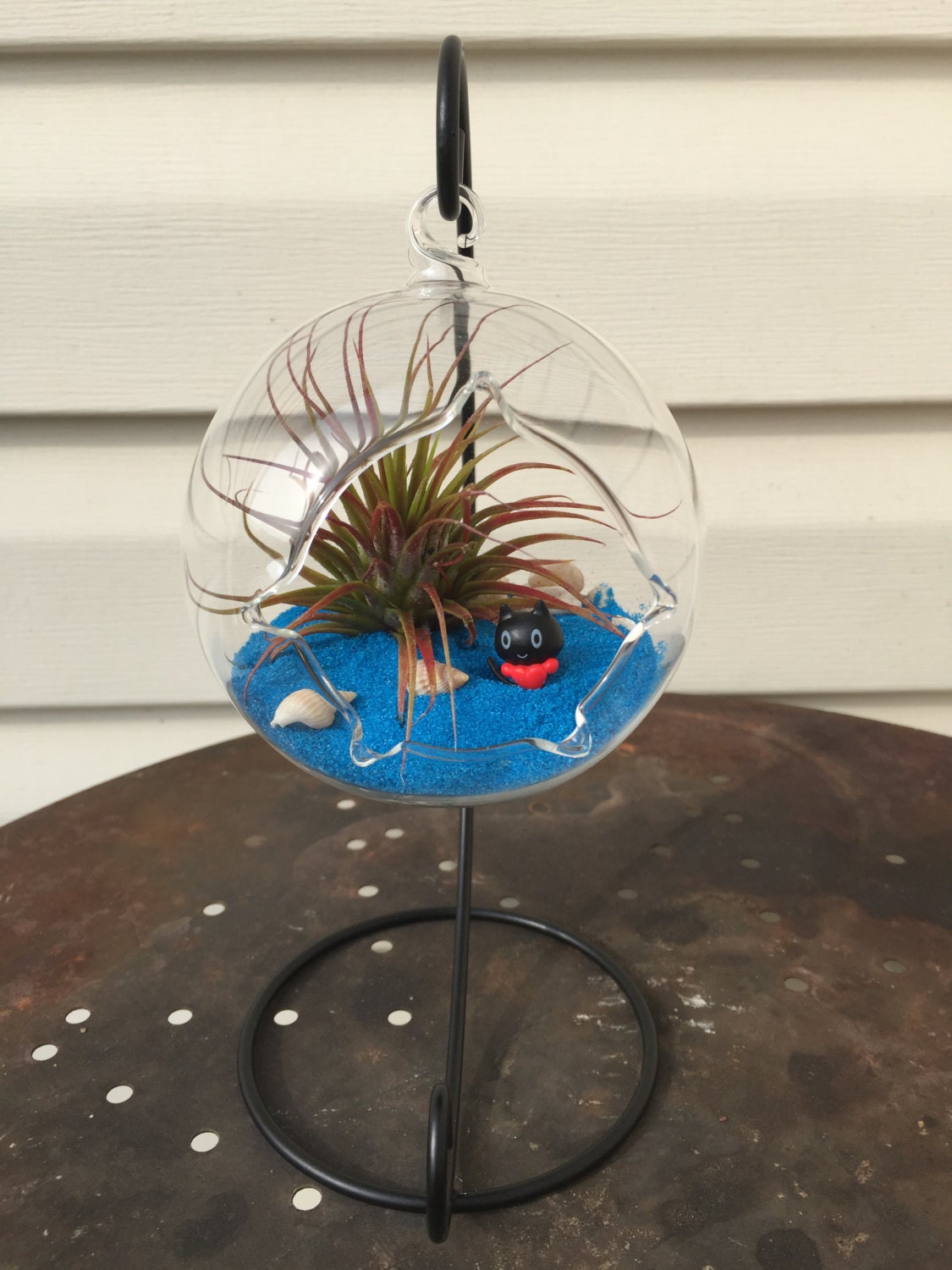 Air Plant Terrarium Kit with FREE STAND / Hanging Glass