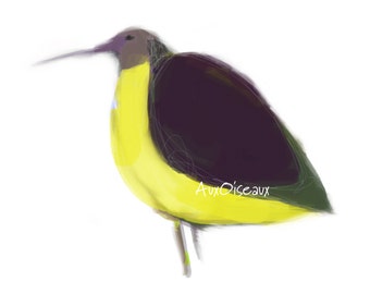 Oiseau jaune, mauve, vert, dessin numérique original, impression de qualité, type giclée. Cadre non-inclus.