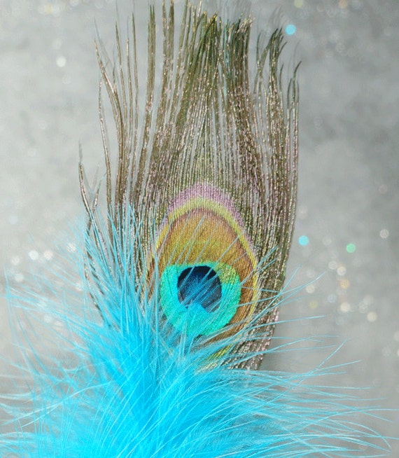 peacock feather cat toy