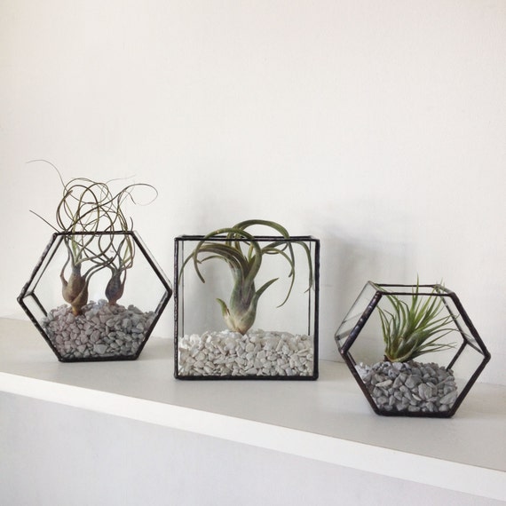 Varro Hexagon Glass Shelf Box