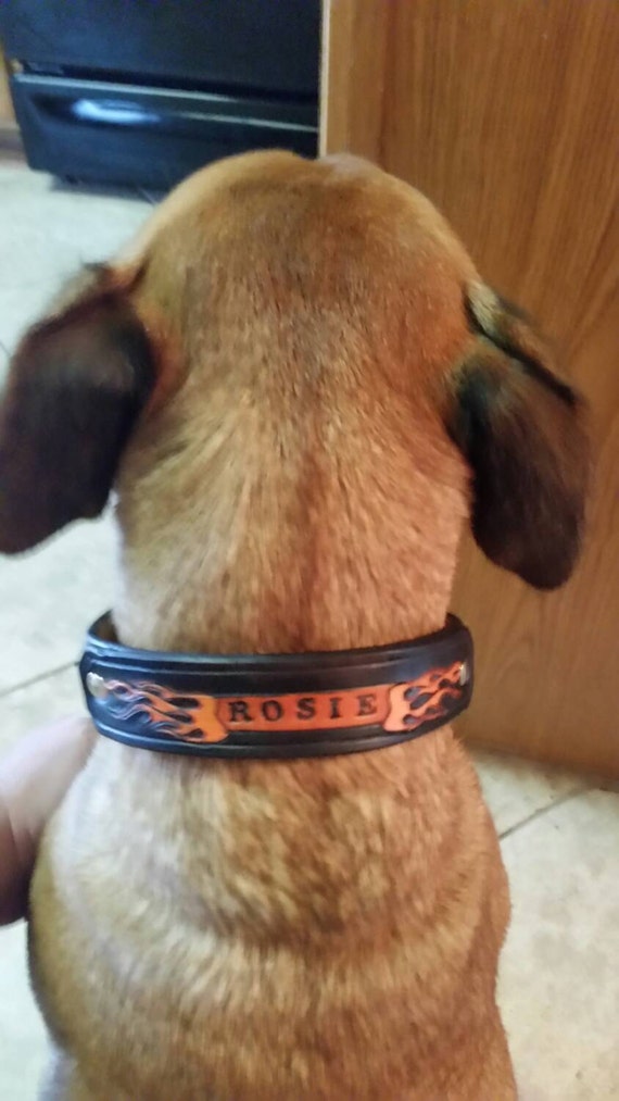 Items similar to Leather dog collar. 1.5 inches wide. Designed to order