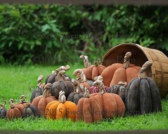 Bountiful Harvest Pumpkins Pattern