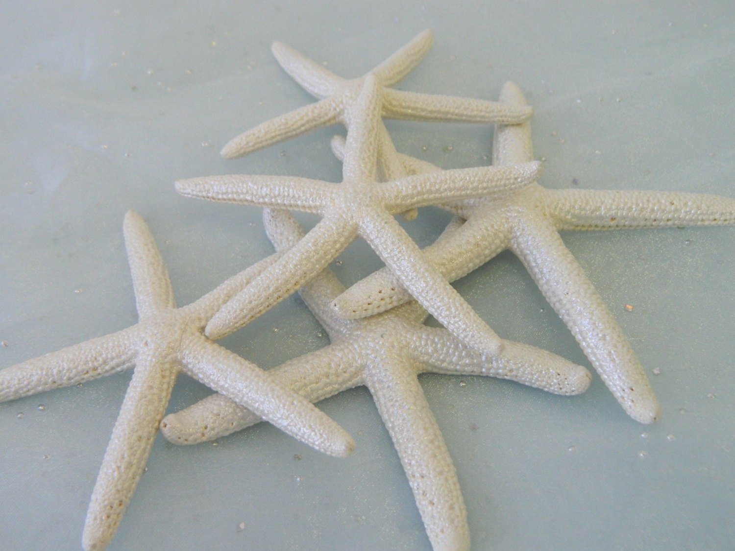 Beach Decor Starfish Beach Decor 12 Pearlized By Gallery360   Il Fullxfull.766418193 Gsjc 