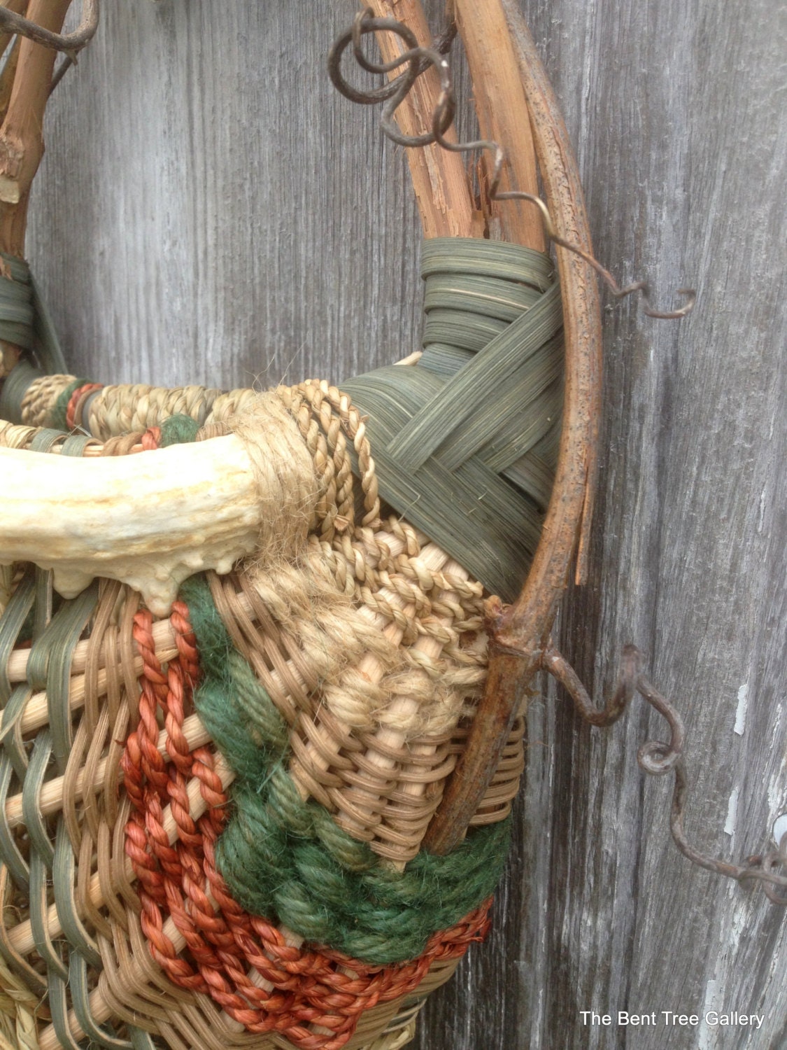 Deer Antler Wall Basket with Wild Grapevines in Natural Sage