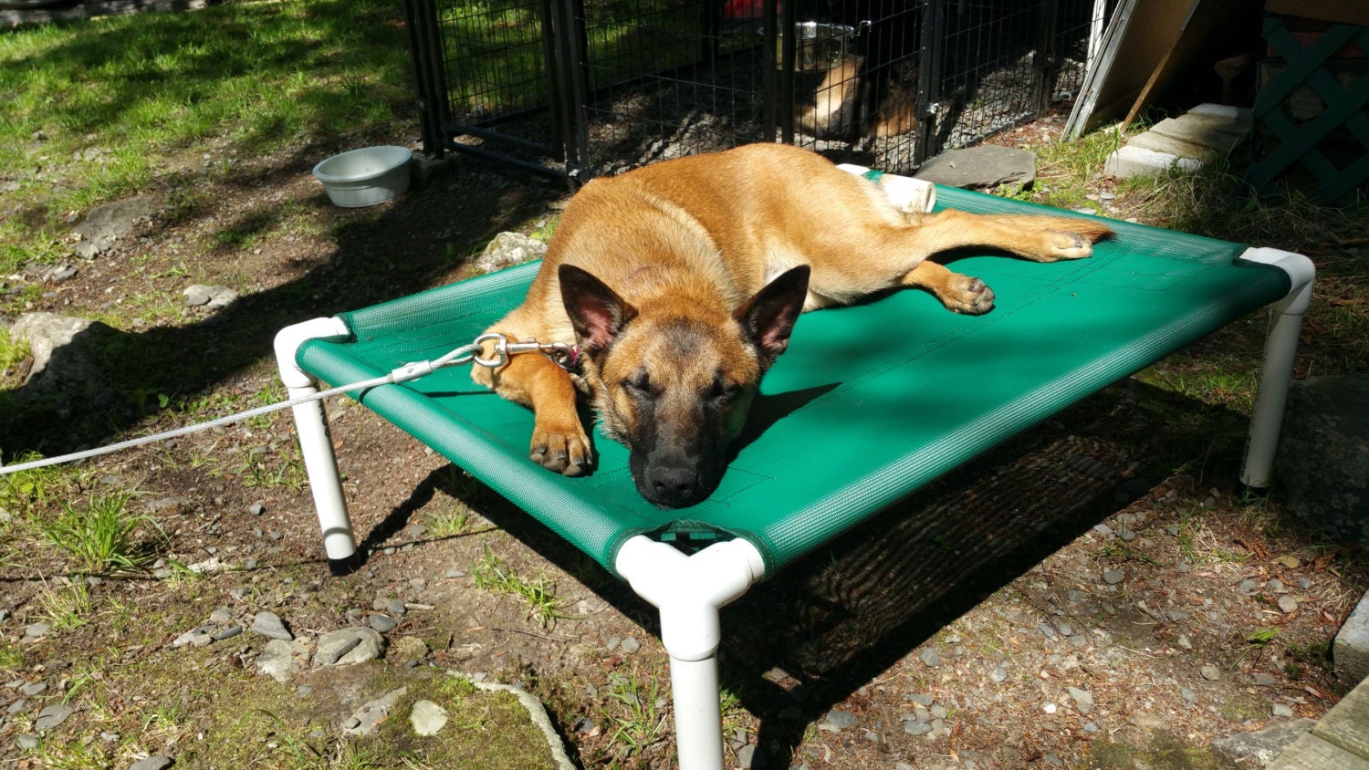Elevated Bed Dog Bed Outside Beds Kennel Beds Cat Bed - ðzoom elevated bed dog bed outside beds kennel beds cat bed - ðzoom