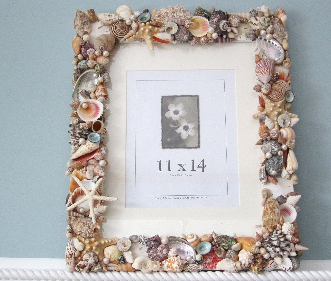 Seashell Wall Frame Beach Decor Shell Wall by beachgrasscottage