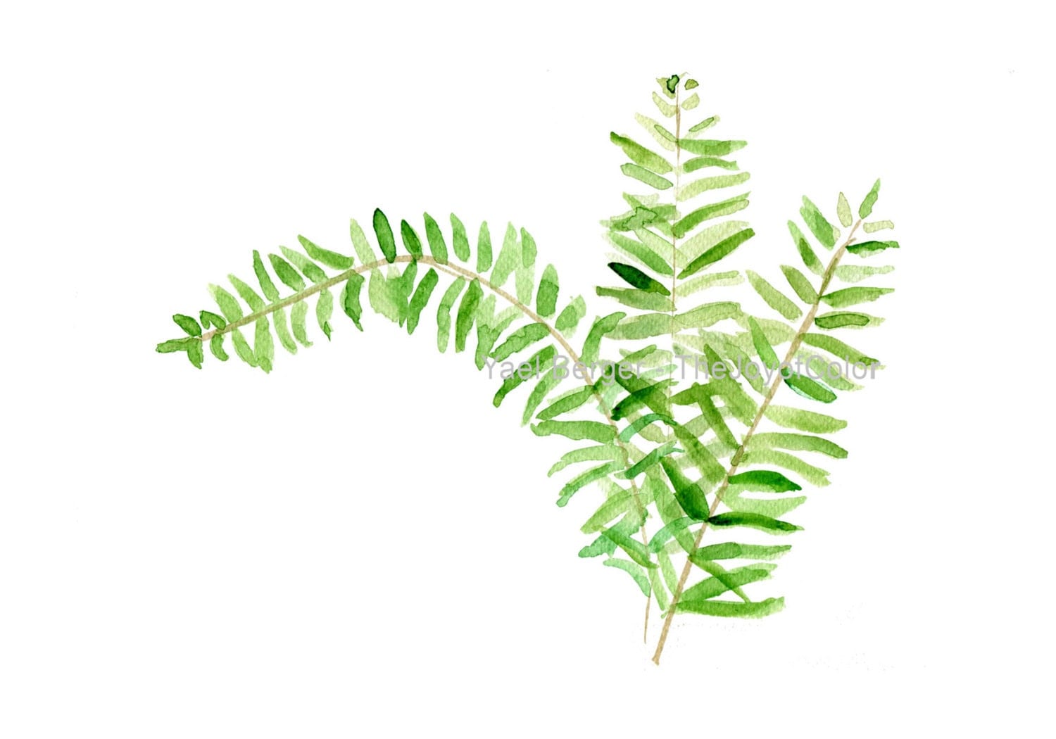 Fern art print Fern watercolor print minimalist art