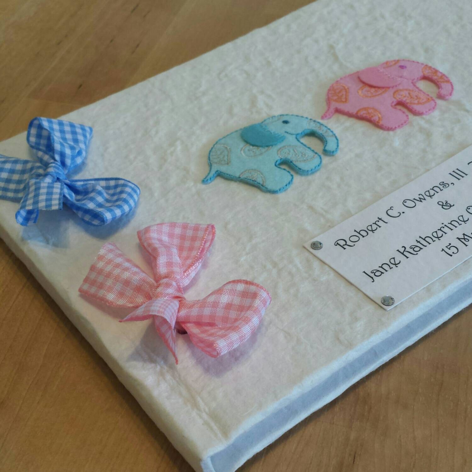 Personalized New Baby Twins Girl and Boy Memory Book