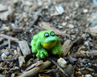 Fairy Garden Accessories TINY Frog Miniature Terrarium Miniature Toad Frog