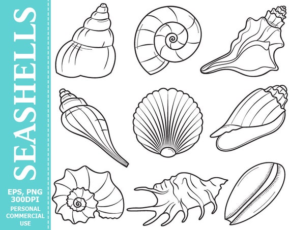 digital seashells clip art sea seashell ocean beach sea
