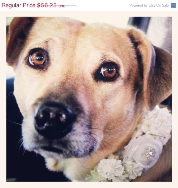 White Wedding Dog Collars with white flowers and by LADogStore